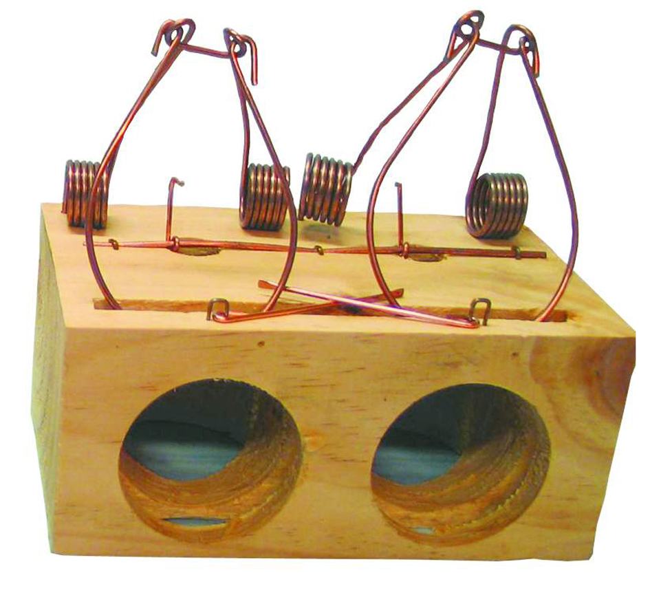 RATERA GRANDE 2 AGUJEROS