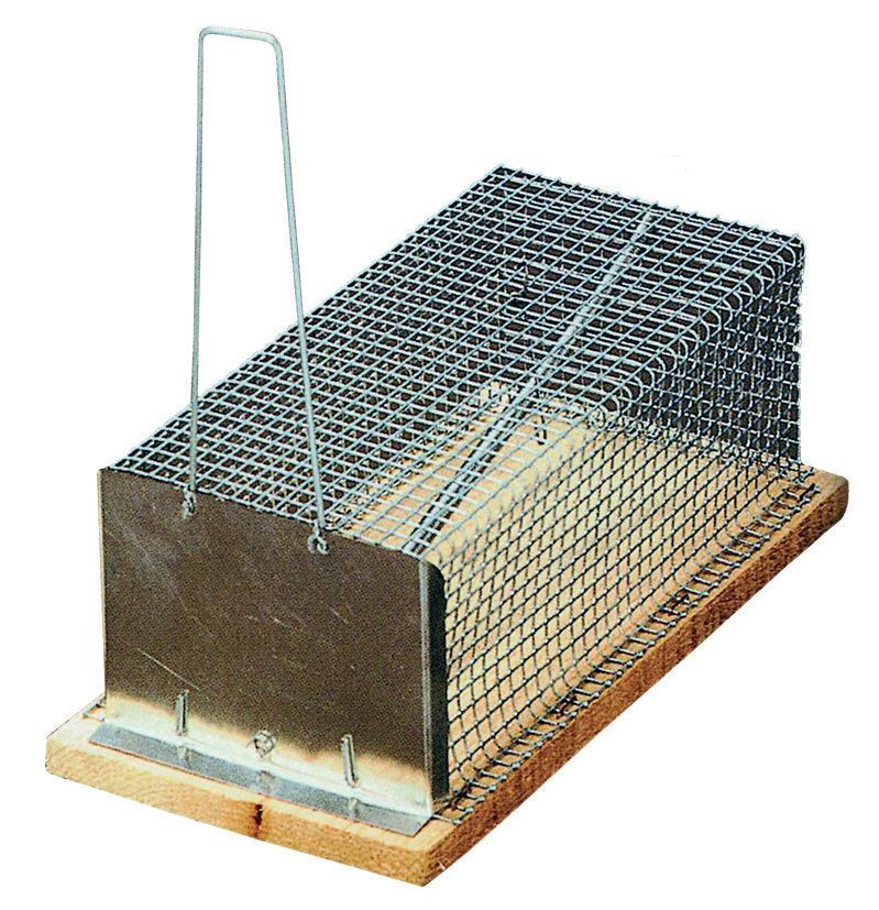 RATONERA ECOLOGICA REJILLA