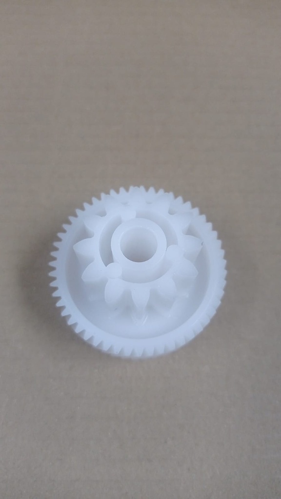 CORONA PEQUEÑA SIGMA 2021